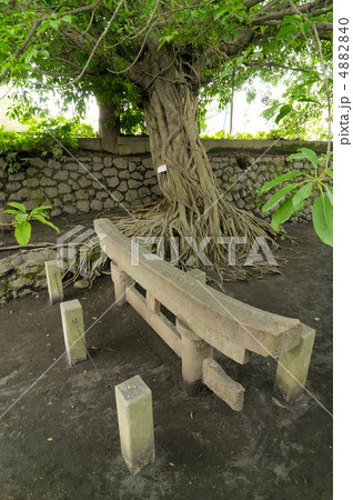 鹿児島 桜島 埋没鳥居 鹿児島 桜島 埋没鳥居 4882840