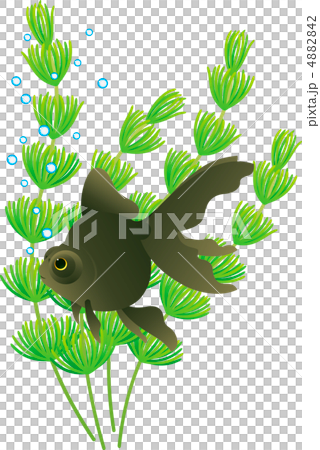 Clodemaker和Matsumo Clodemaker和Matsumo 4882842