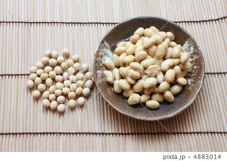 大豆 大豆 4883014