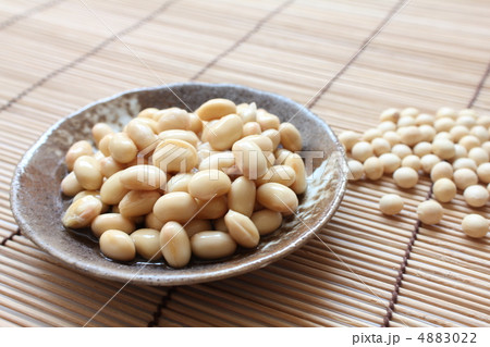 大豆 大豆 4883022