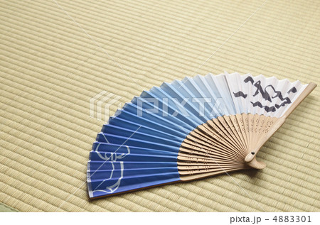 扇子　畳　涼 4883301