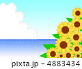 アップリケひまわり 4883434