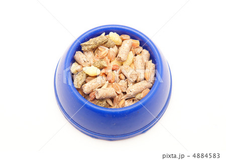 blue bowl of food on white background 4884583