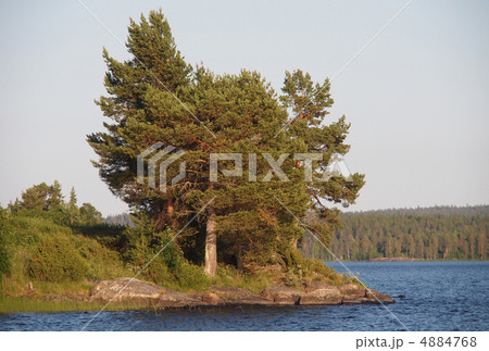 shore of Lake 4884768