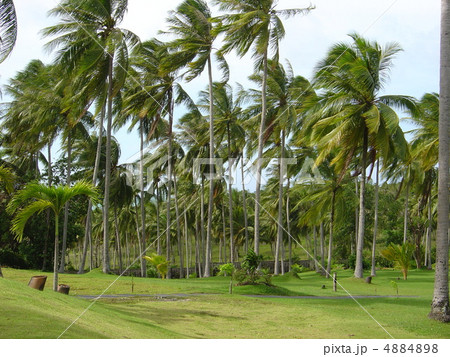 タイ　プーケット島 4884898