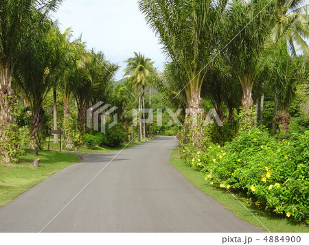 タイ　プーケット島 4884900