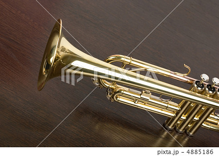 trumpet 4885186