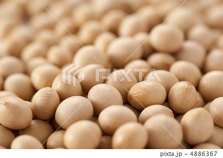大豆、 4886367