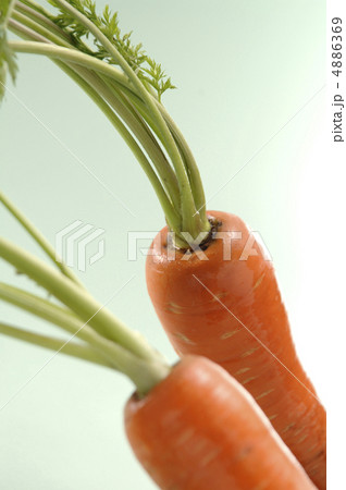にんじん 4886369