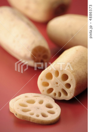 レンコン 4886373