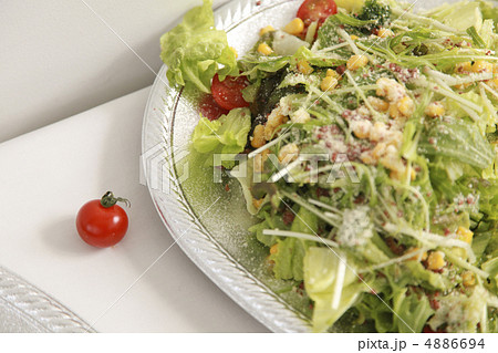 サラダから逃げ出したプチトマト 4886694