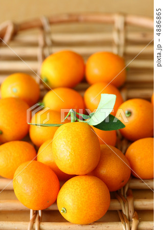 キンカン キンカン 4886865