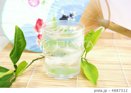 冷たーいお冷・青葉映り込み・金魚の団扇バック横位置 4887312