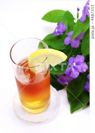 アイスティ―・バンマツリの花枝バック・縦位置斜俯瞰 4887355