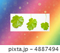 葉 4887494