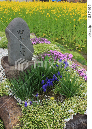 四十九院 四十九院 4887496