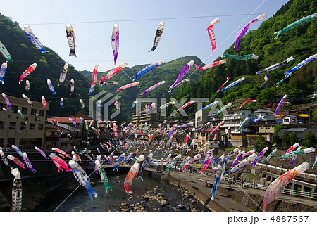 画面いっぱいの鯉のぼり　杖立温泉 4887567