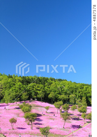 滝上公園 4887578