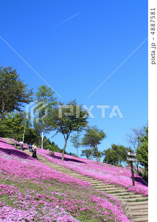 滝上公園 4887581