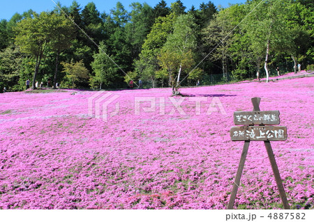 滝上公園 4887582