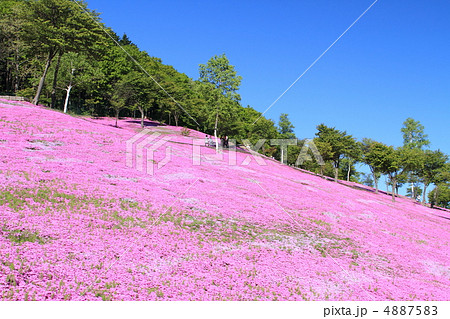 滝上公園 4887583