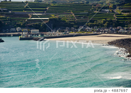 汐見の段々畑 汐見の段々畑 4887697
