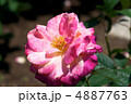 アブラカダブラ 4887763