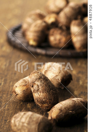 里芋 里芋 4887916