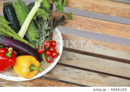 朝採れ新鮮野菜のかご盛り 4888169