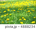 やさしい時間 4888234