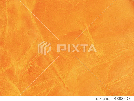 背景　　革 4888238