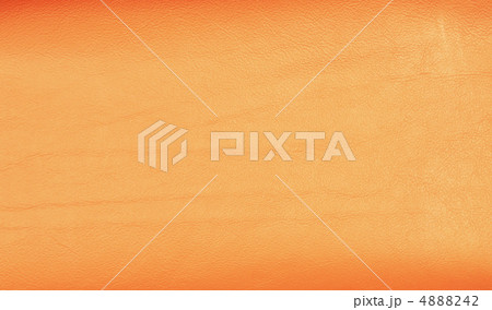 背景　　革 4888242