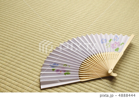 扇子 畳 朝顔 扇子 畳 朝顔 4888444