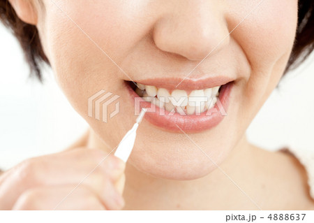 デンタルケア（ミドル女性） 4888637