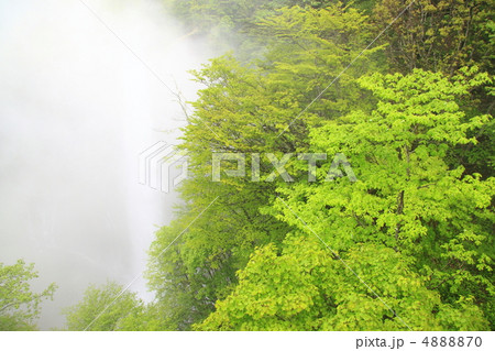 華厳の滝 4888870
