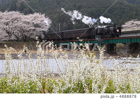 大井川鉄道ＳＬ 4888878