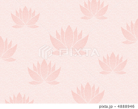 蓮の花 蓮の花 4888946