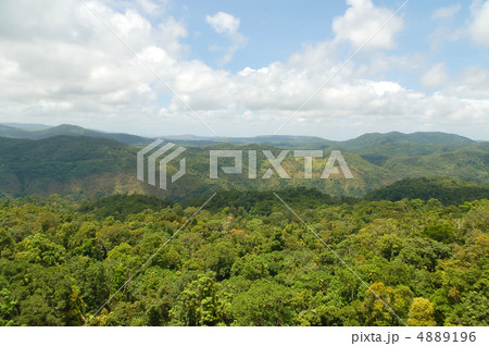 熱帯雨林の遠景 4889196