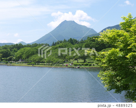 新緑の志高湖 4889325
