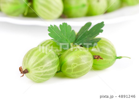 gooseberries gooseberries 4891246