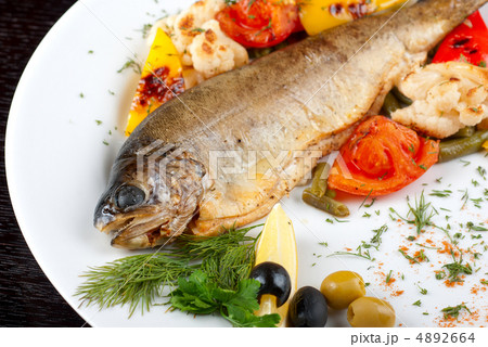 trout fish trout fish 4892664
