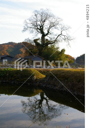 矢掛の里山風景 4894215