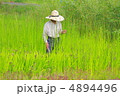 農夫 4894496