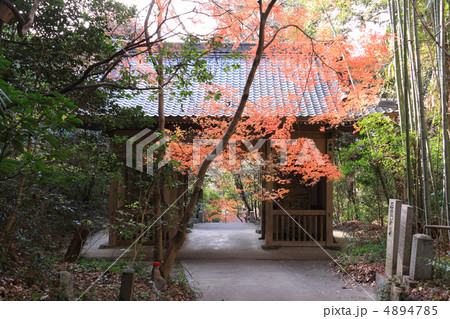 四国霊場第71番札所「弥谷寺」仁王門と紅葉 4894785