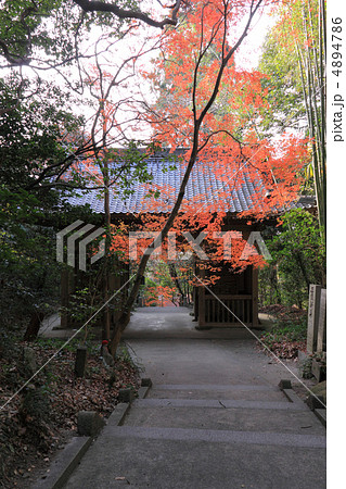 四国霊場第71番札所「弥谷寺」仁王門と紅葉 4894786