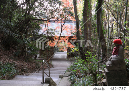 四国霊場第71番札所「弥谷寺」仁王門と紅葉 4894787