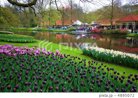 キューケンホフ公園 4895072
