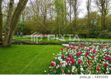 キューケンホフ公園 4895080
