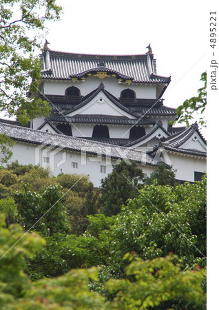 玄宮園から望む彦根城クローズアップ－２ 4895221