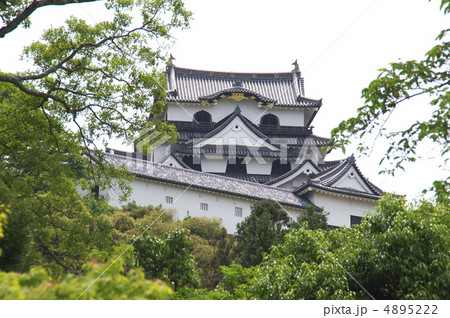 玄宮園から望む彦根城クローズアップ－１ 4895222